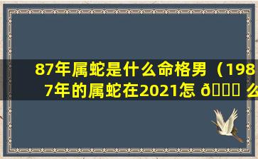 87年属蛇是什么命格男（1987年的属蛇在2021怎 🕊 么样）